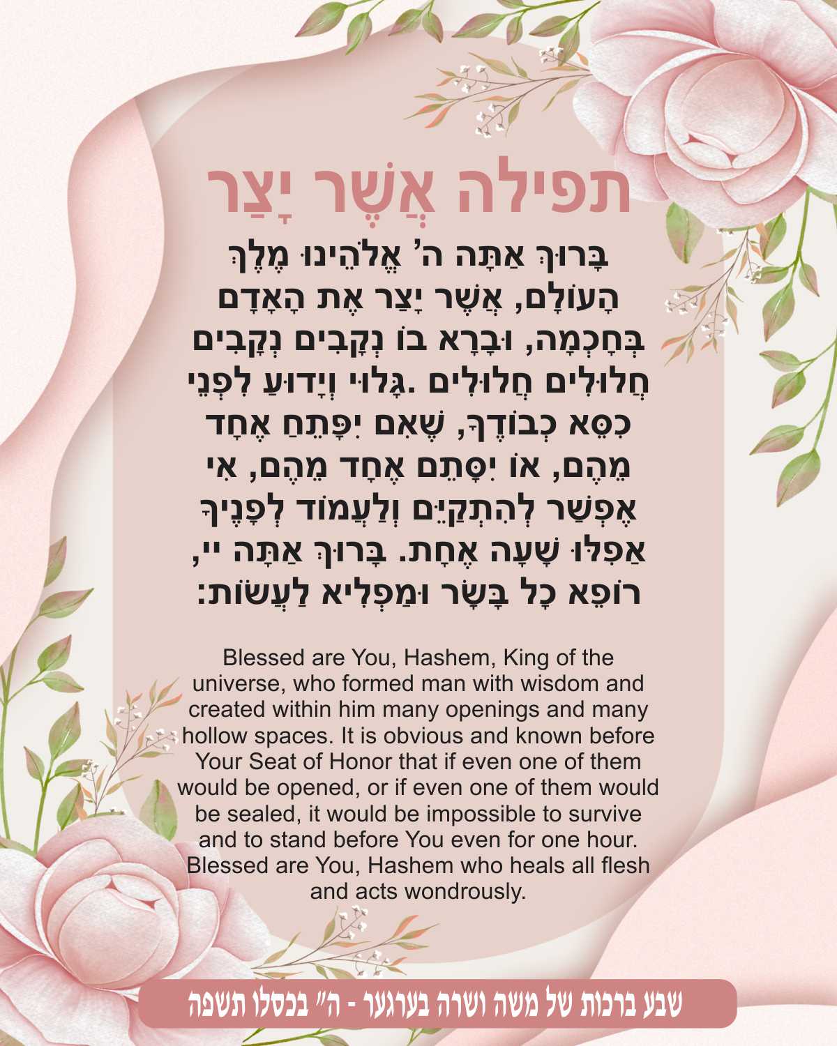 Pink Carnation Asher Yatzer - Gratitude for Health