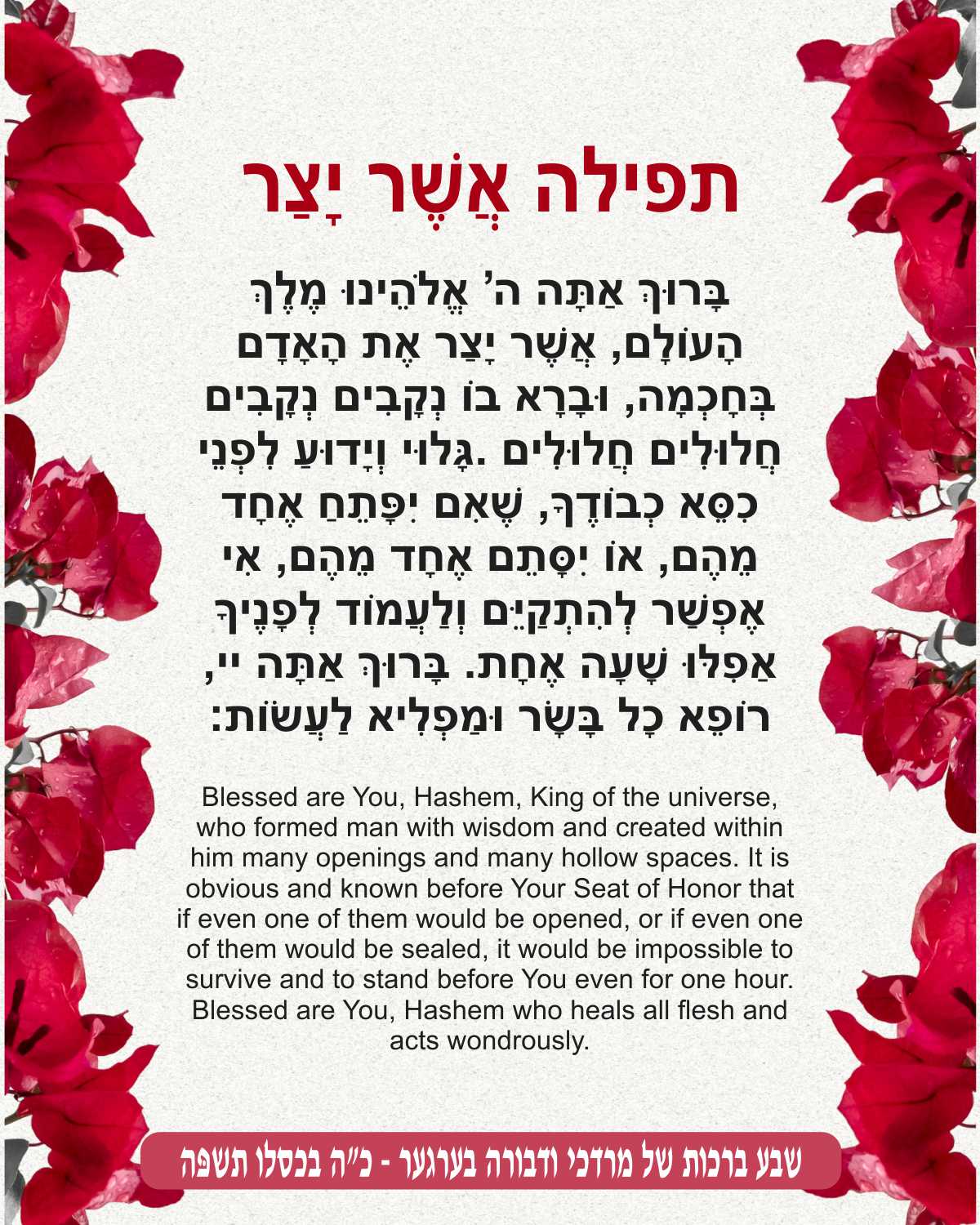 Pink Petal Asher Yatzer - Gratitude for Health