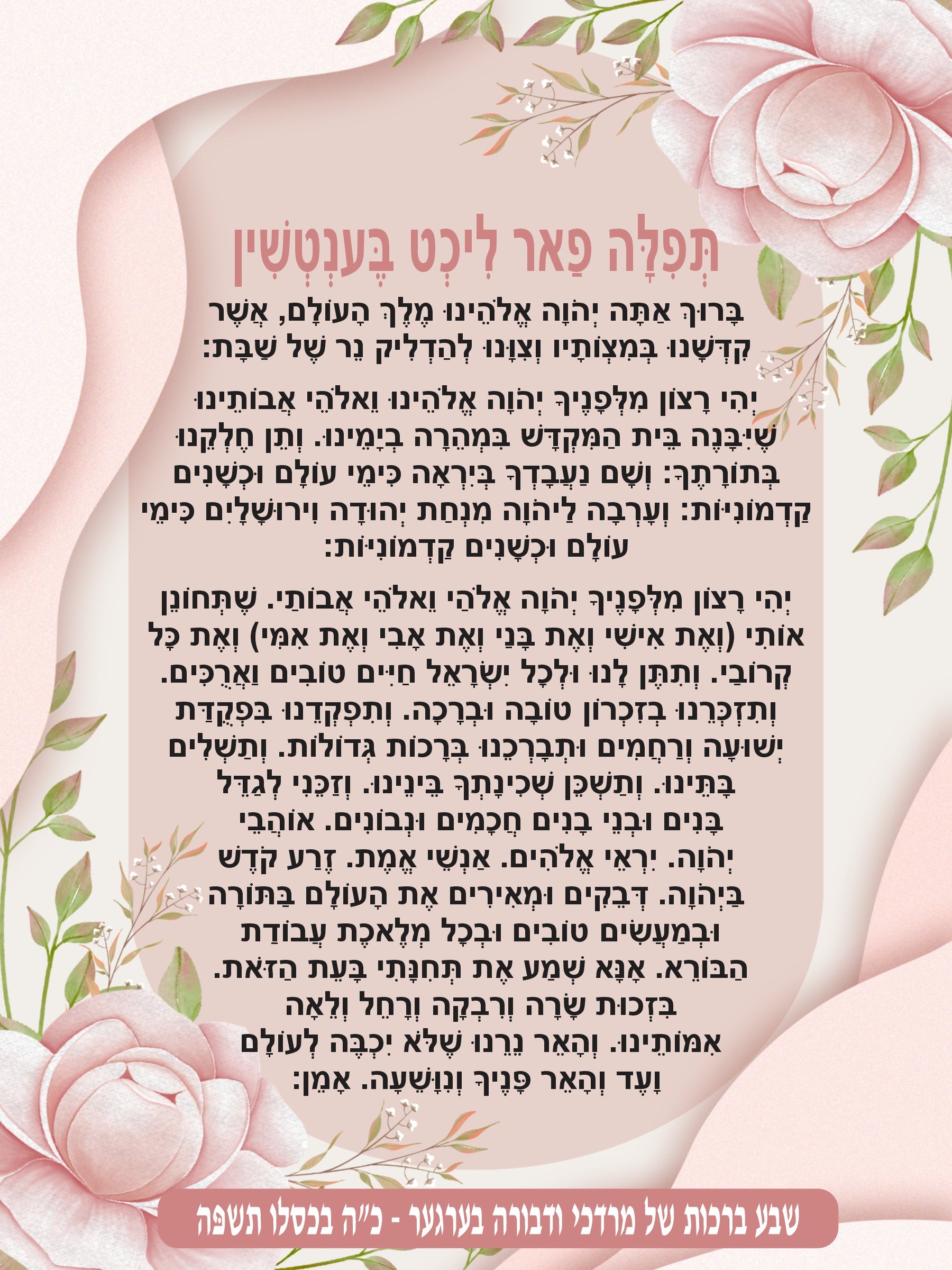 Pink Carnation Lecht Bentchen - Blessing Before Candle lighting (Yiddish)