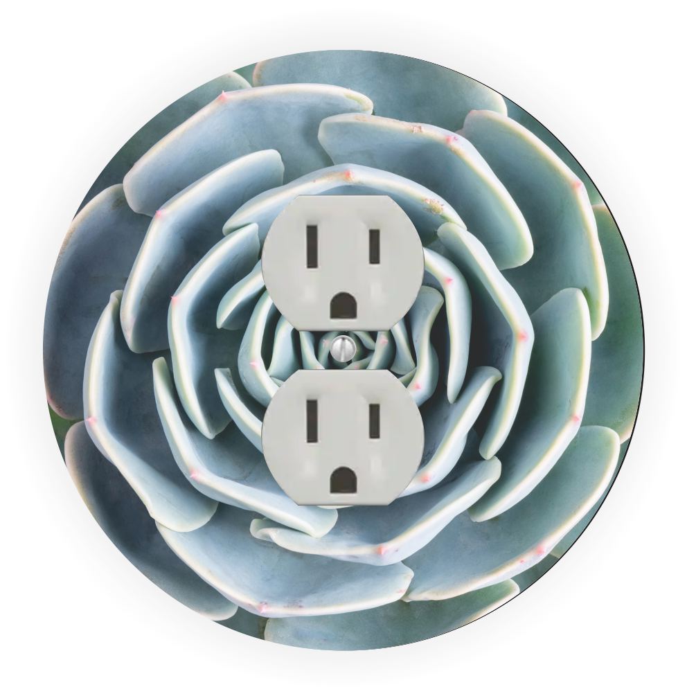 Sam Sandor - Green Cabbage Flower Design - Round Light Switch Plate Cover - Outlet Cover