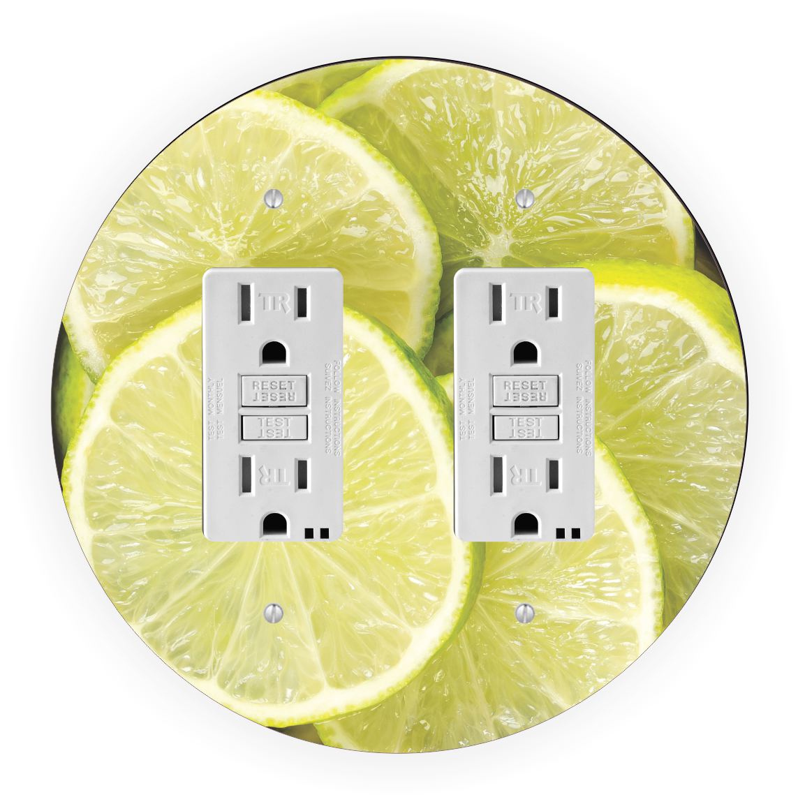 Sam Sandor - Bowl of Lime Slices Design - Round Light Switch Plate Cover - Double GFI