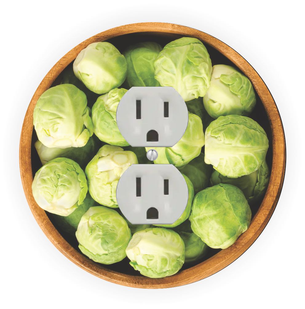 Sam Sandor - Brussel Sprouts Design - Round Light Switch Plate Cover - Outlet Cover