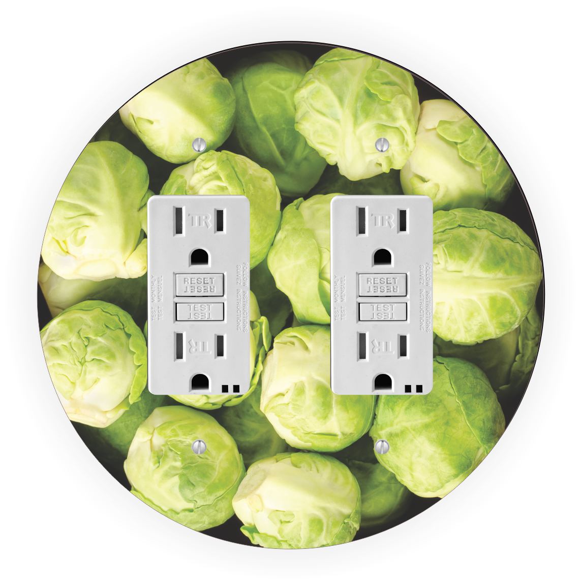 Sam Sandor - Brussel Sprouts Design - Round Light Switch Plate Cover - Double GFI