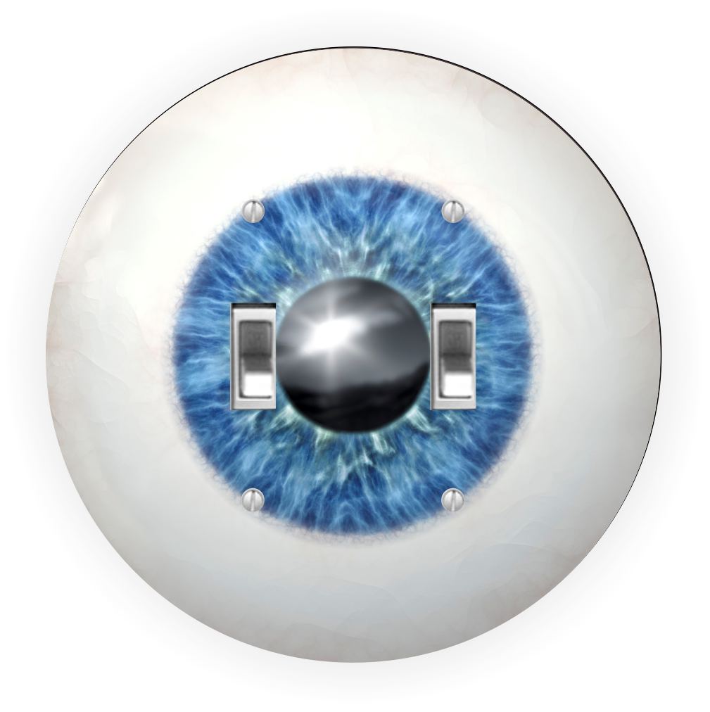 Sam Sandor - Blue Eye Ball Eyeball Iris Design - Round Light Switch Plate Cover - Double Toggle