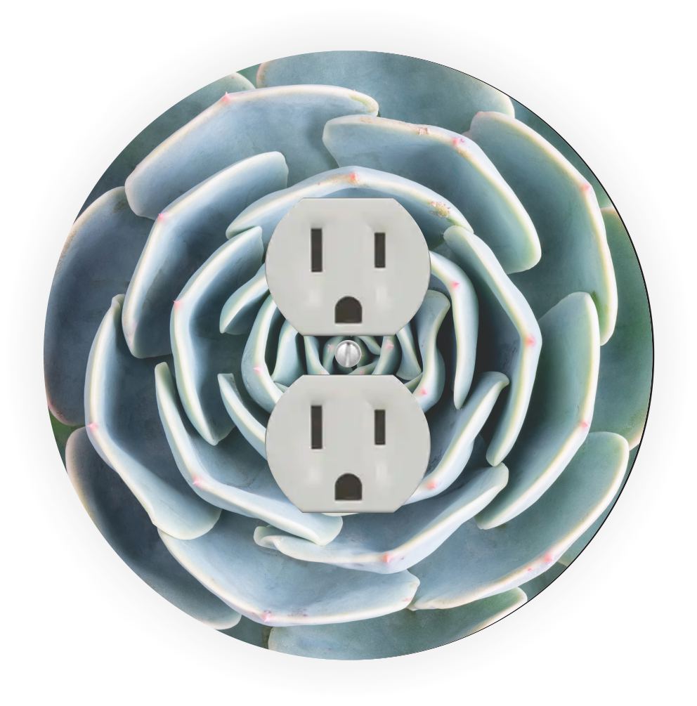 Sam Sandor - Green Cabbage Flower Design - Round Light Switch Plate Cover - Outlet Cover